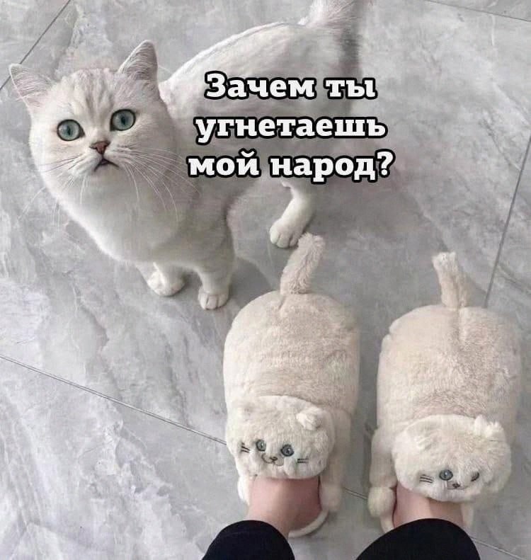 Утренняя подборочка