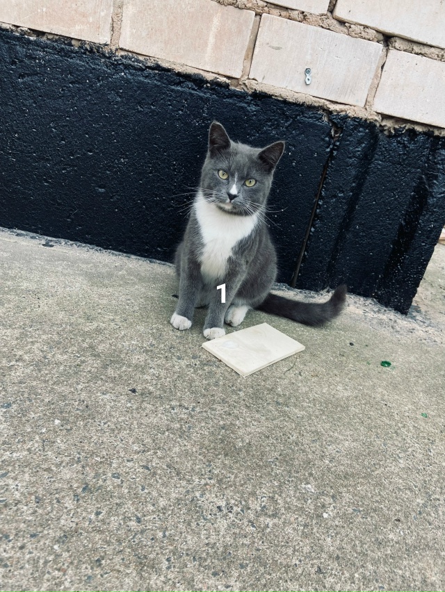 #ПотерялиНашлиПомогите
1 Помогите 🆘 найти замечател?...