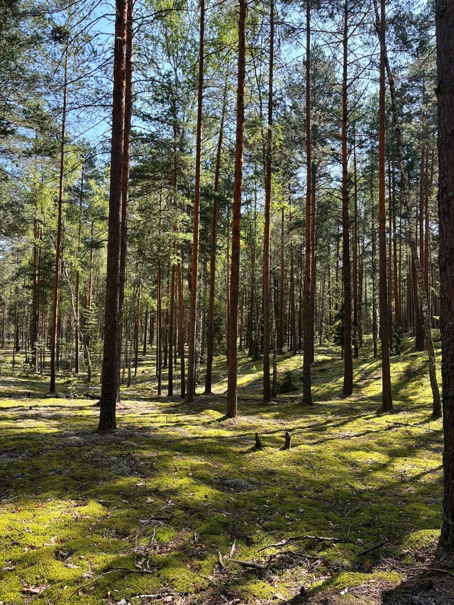 Доброго утра, Никольск❤