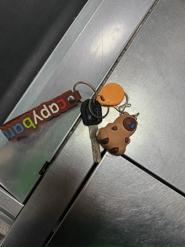 чья потеряшка?