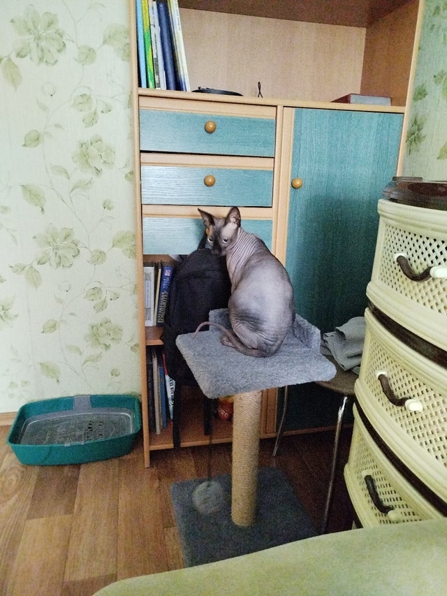 Бублик часть 2