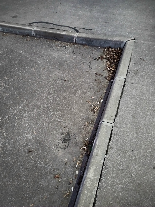 Тула в последнее время стала намного чище, но это не ка?...