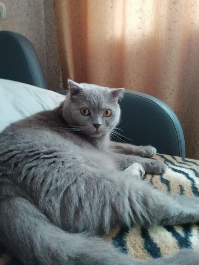 Мой Сосик💖💖