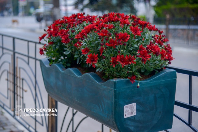 🌸Центр Евпатории украсят хризантемы
Сотрудники МБУ ?...