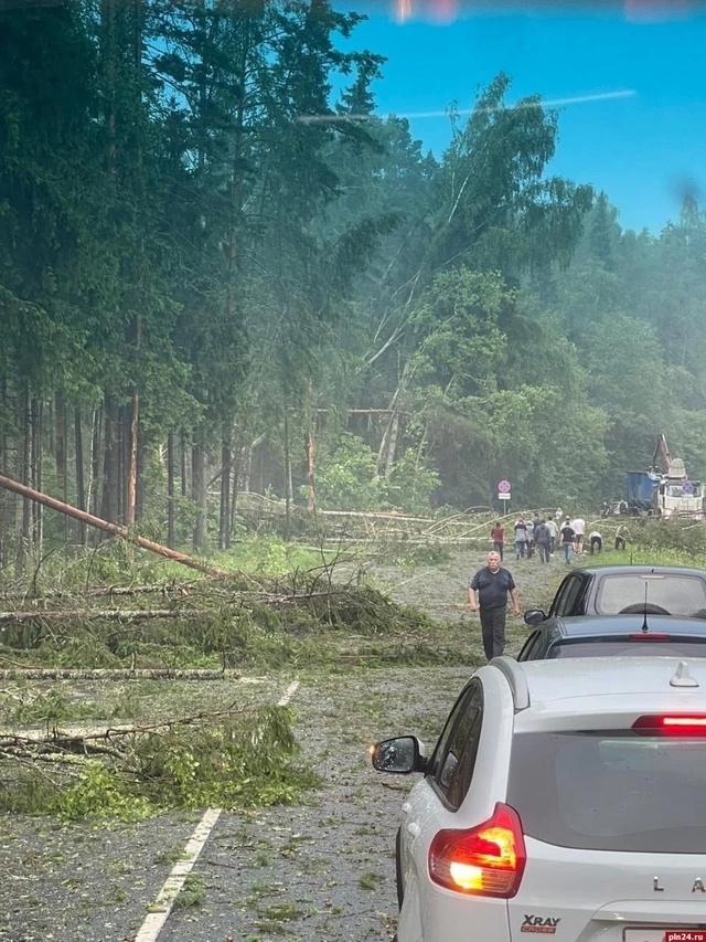 Последствия шторма в Псковской и Витебской областях
Ф...
