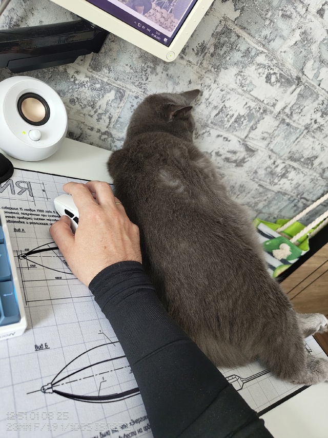 Снова Матиас. Охраняет тапки и помогает работать. Не зн...