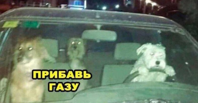 🚗 В России задумали приятный бонус для аккуратных вод...