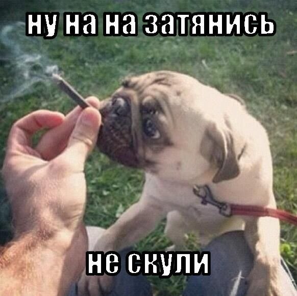 когда на две секунды взяла у подруги дудку, и у нее случился нервный припадок