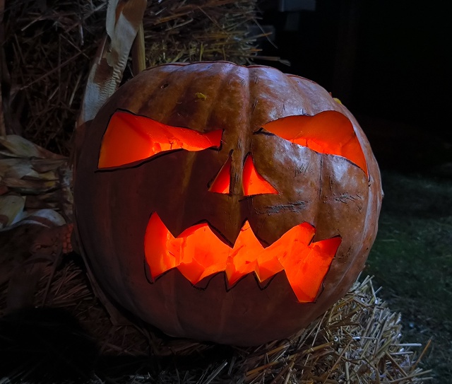 В ЖК Лазурный у бара встречает вот такой персонаж.
Как ?...