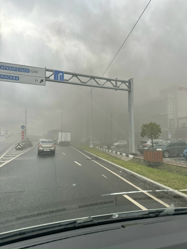 В пушкино дельфин горит