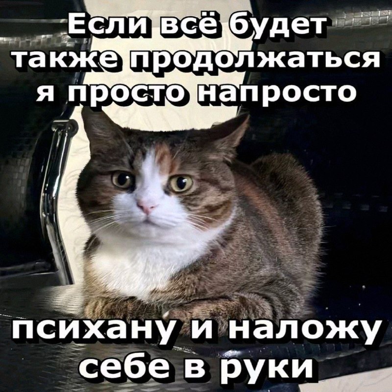 Утренняя подборочка