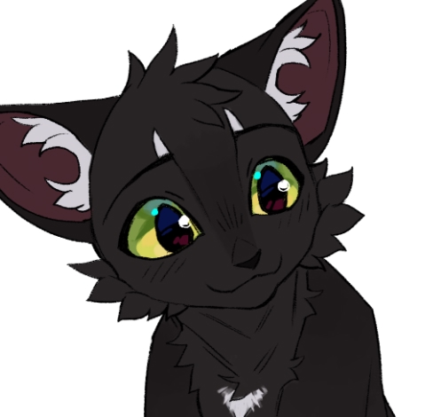 little babyyy
© Owlspark
#KV_ZZ_ART