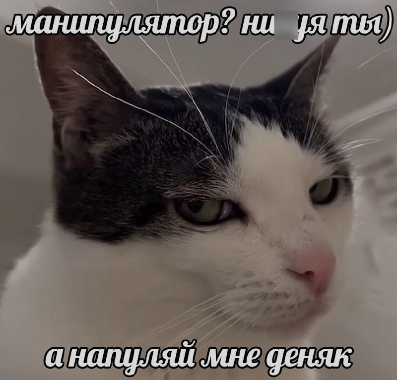 Ночная подборочка
Спать, режим