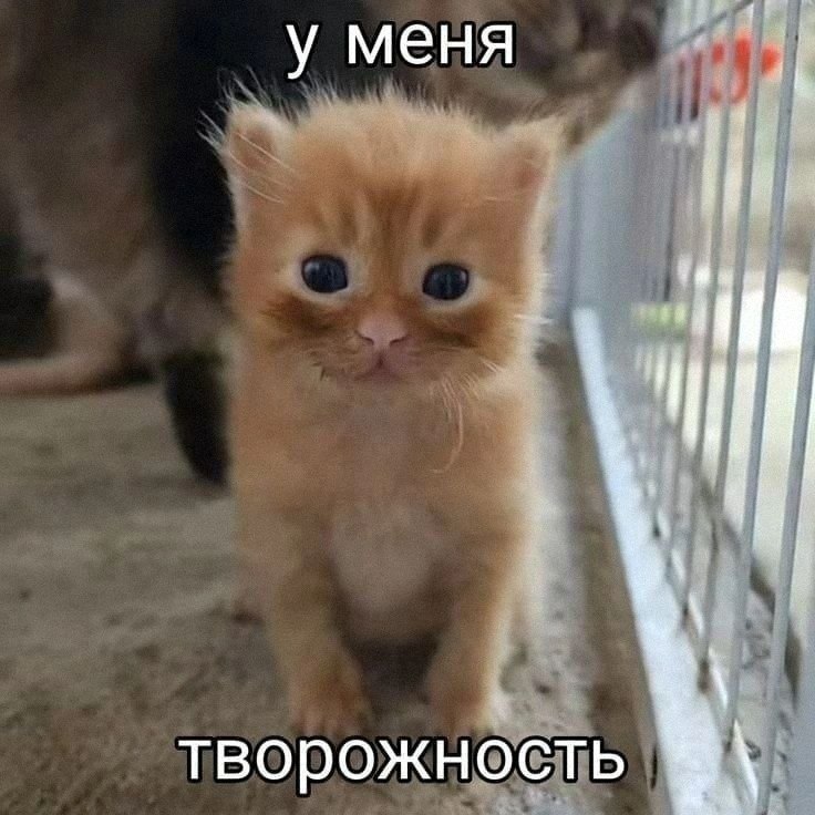Утренняя подборочка