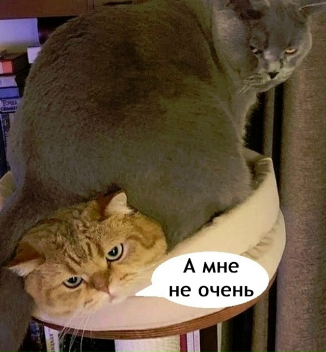 Вот так и живем