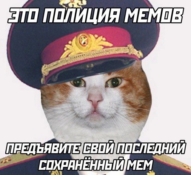 👉 Госдума упростила правила приёма в полицию из-за не?...