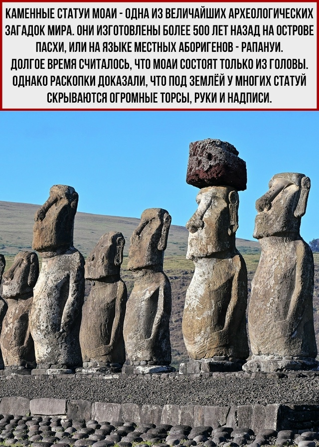 Поделись с тем, кто не знает об этом
Пересылайте посты ...