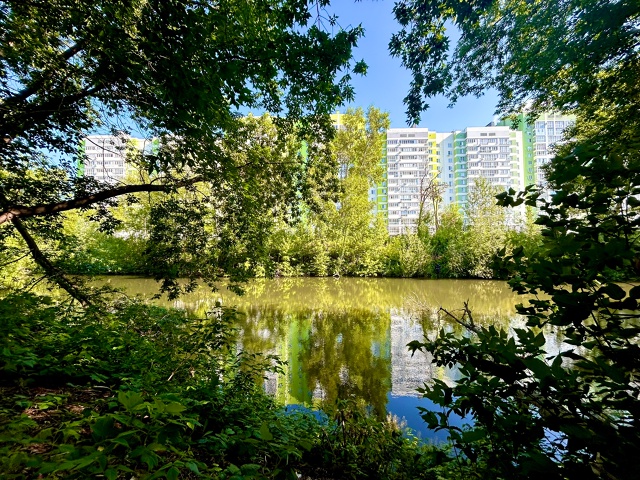 Доброе всем утро 🌿🍃