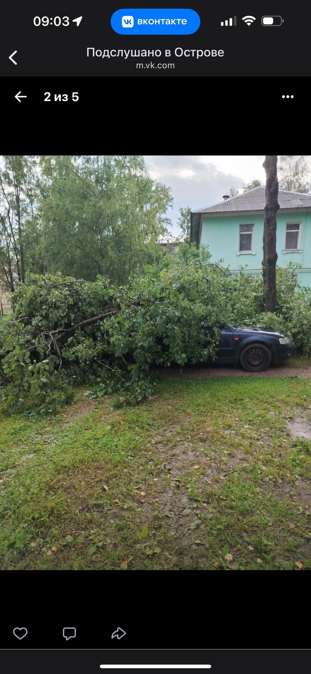 Доброе утро! Вот такое утро в Острове - 2