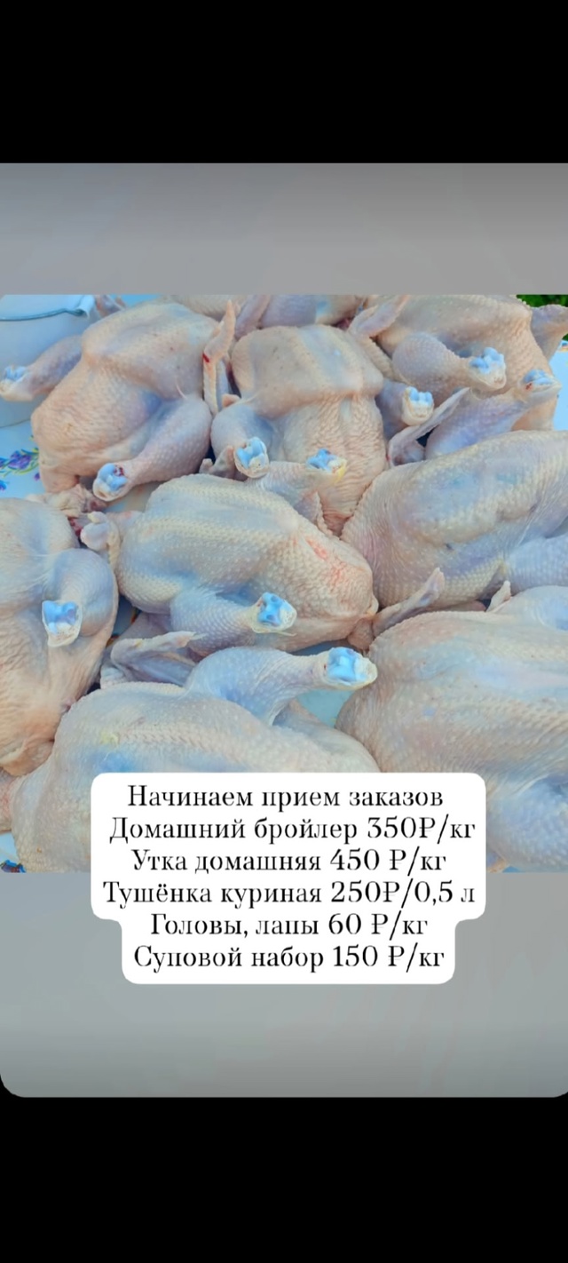Есть доставка Петровск, Ростов, Переславль. В Ярославл?...