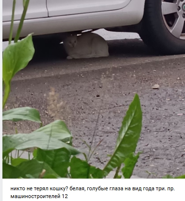 Пост добра. Распространите, пожалуйста.