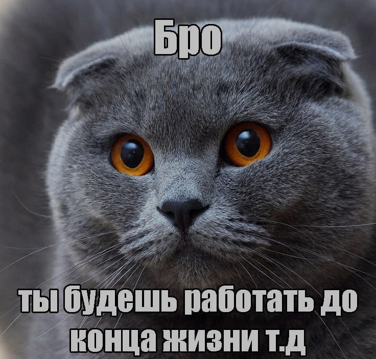 Бро, ночная подборочка
и т.д.