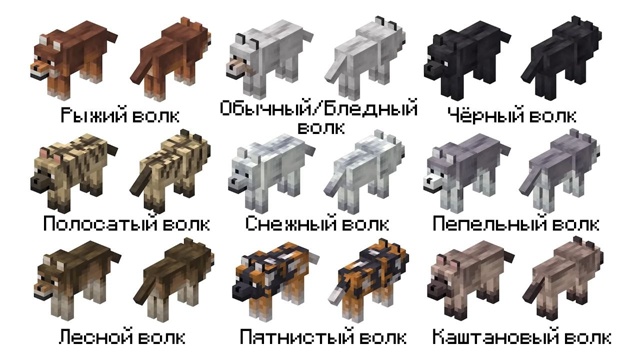 Ну, это всего лишь все виды волков ?‍♂️