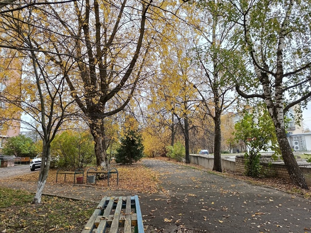 🍂🍁☔ Осенний Ковров