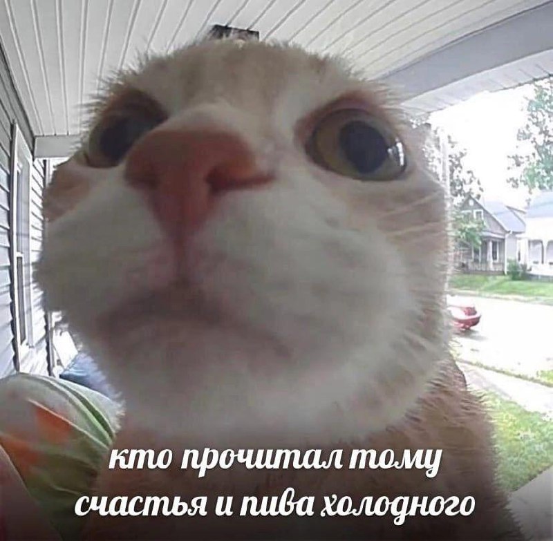 Утренняя подборочка