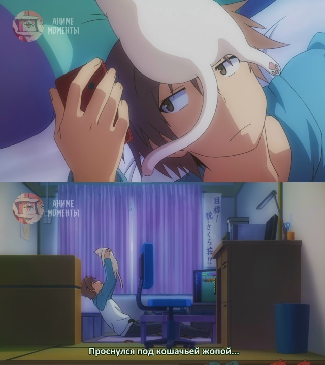 Кошечка из Сакурасо 🎬 1 серия