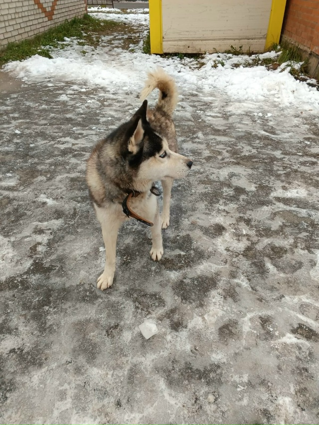 Пропустите, пожалуйста
🆘️🆘️🆘️🆘️🆘️🆘️🆘️🆘️?...