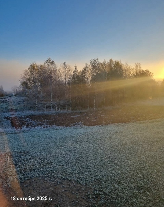 Доброе утро, Окуловка