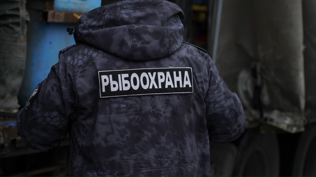 Смоленские атомщики выпустили в Десногорское водохра?...