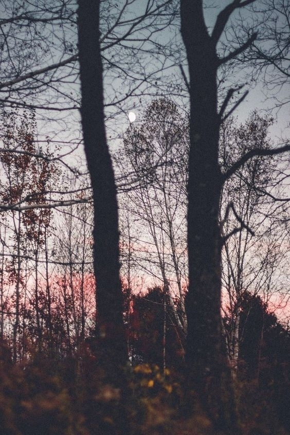 Когда ложишься спать, положи под подушку пару хороших ?...