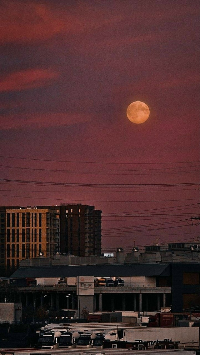 🌕 Бобровое суперлуние уже в небе над Москвой.
Подним...