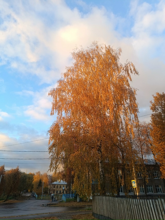 🍂🍁 Осень в Коврове