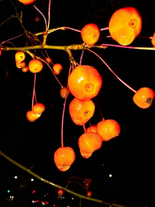 Доброе утро! Прогноз погоды на 21 ноября В Оренбурге се...