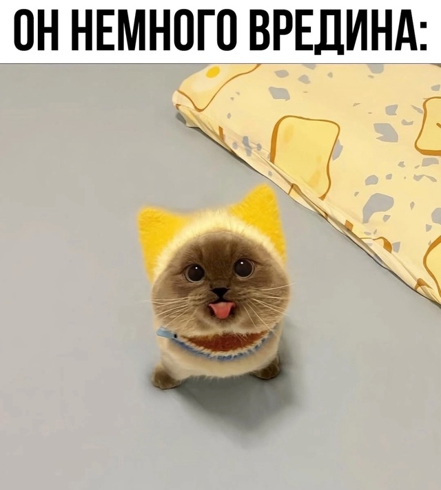 Тебя увидел маленькая врединка