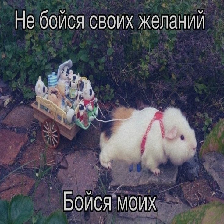Ночная подборочка
Спать, режим