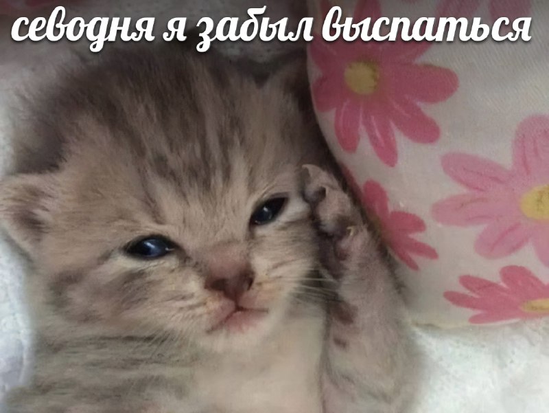 Ты?