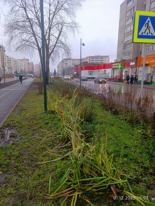 С первым днём зимы! 😃🤣😁