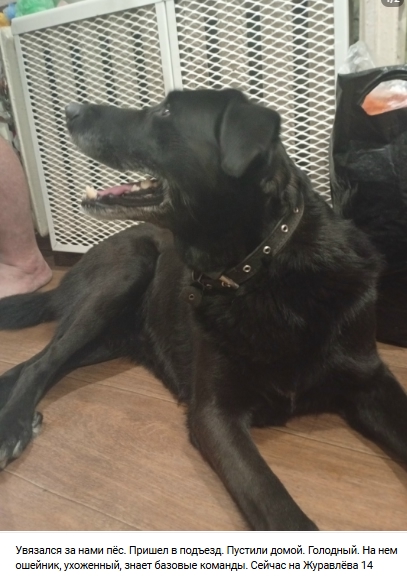 Пост добра. Распространите, пожалуйста.