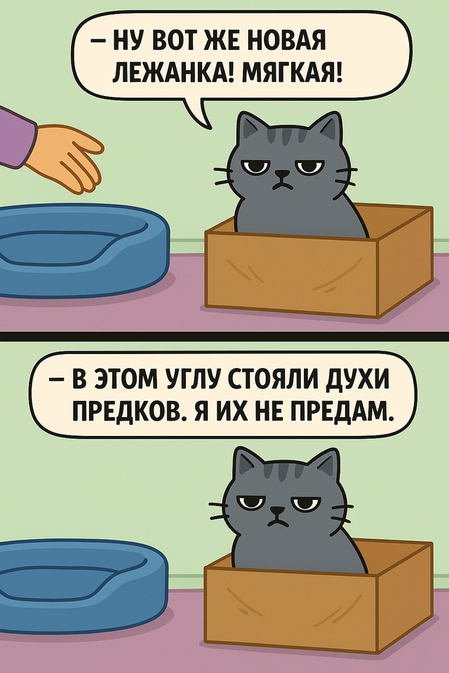 Когда ты кот и у тебя принципы