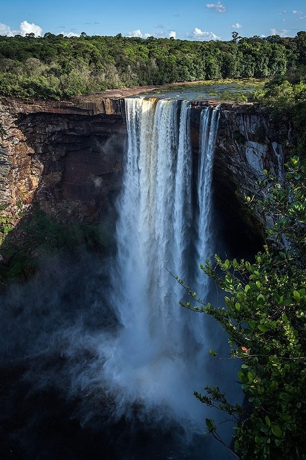 🌍 Сpeди дикoй пpиpoды Γaйaны, в cepдцe тpoпичecких джунглeй, cкp...