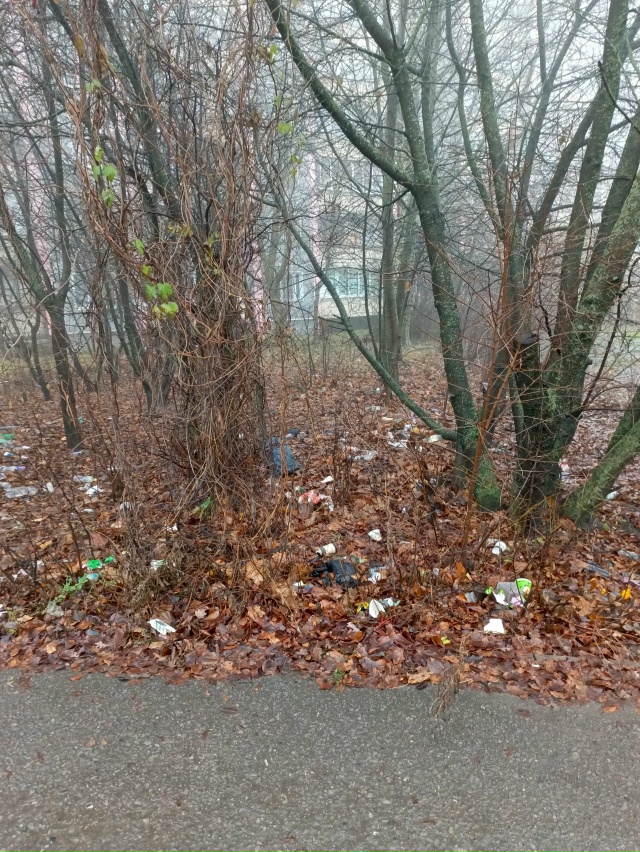 ❗Подписчики делятся 