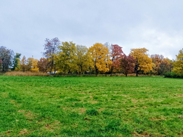 Колонистский парк в Петергофе