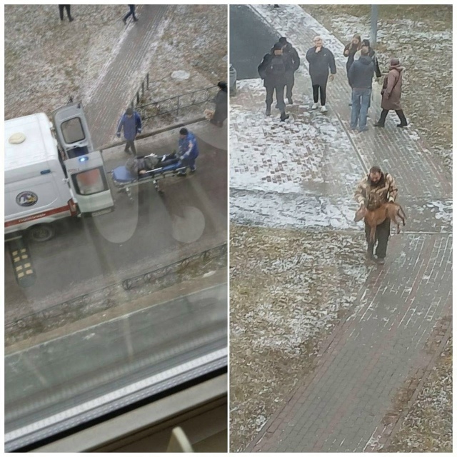 Опасная прогулка: Петербурженка пострадала от нападен...