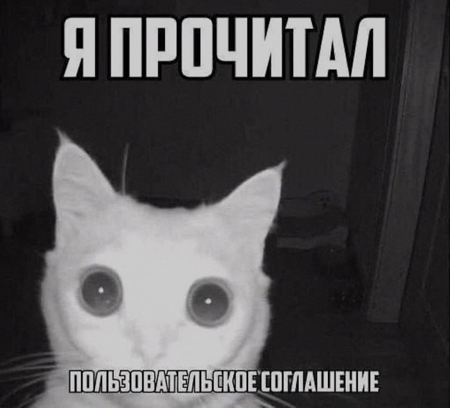 Ночная подборочка
Спать, режим