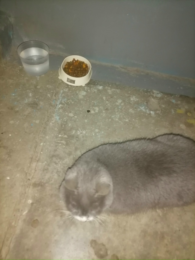 Кто потерял