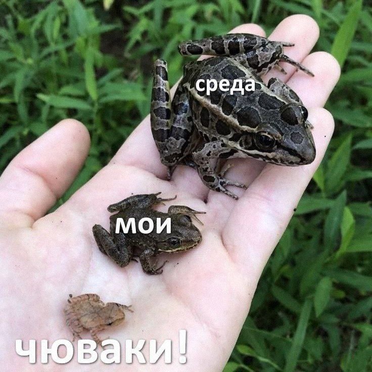 Утренняя подборочка